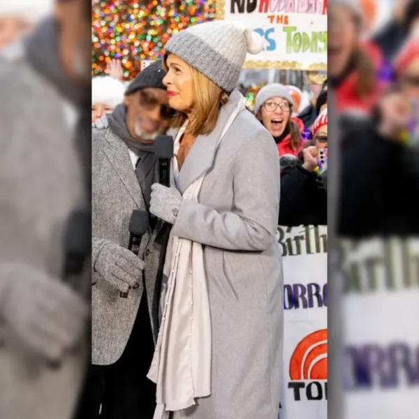 The Today Show Hoda Kotb Grey Coat - Image 3